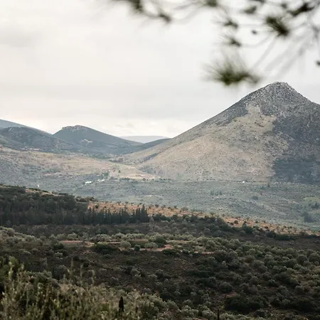 펜션 Silo Stone House Fichti